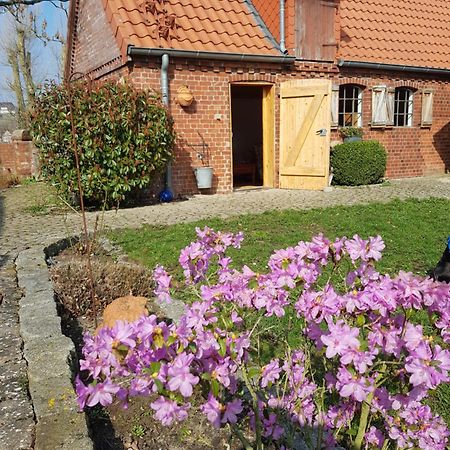Ferienhaus Voern-Diek Hohnstorf エクステリア 写真