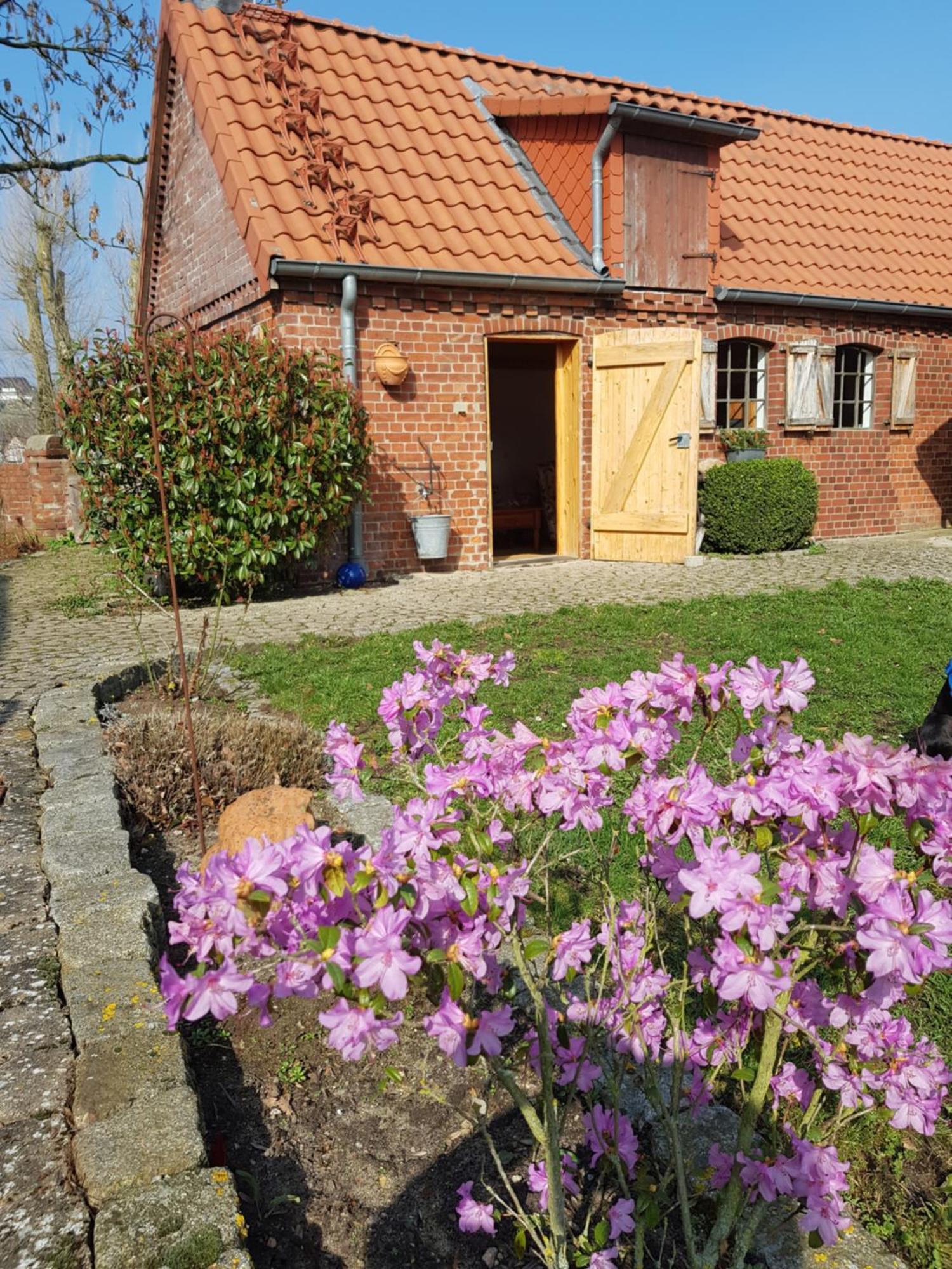 Ferienhaus Voern-Diek Hohnstorf エクステリア 写真